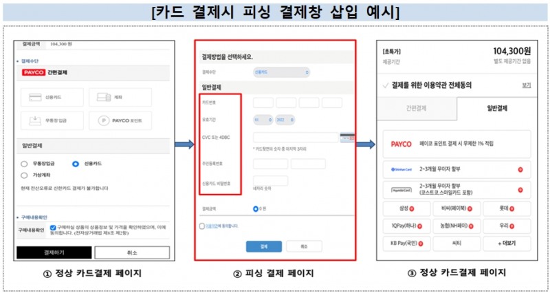 이미지 제공=금융보안원