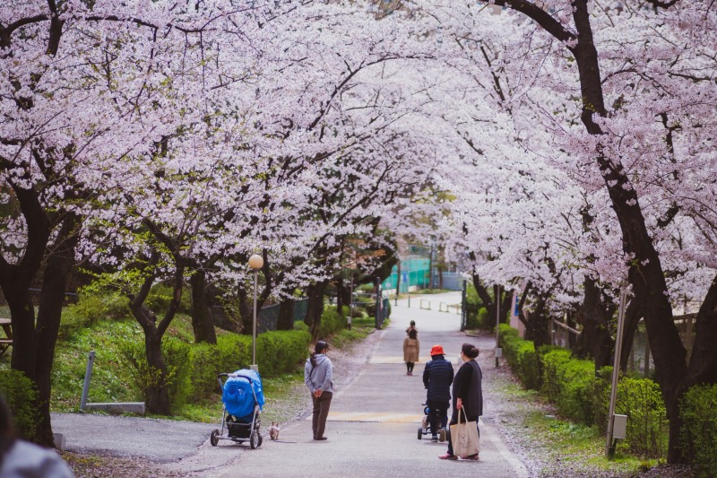 사진=Unsplash