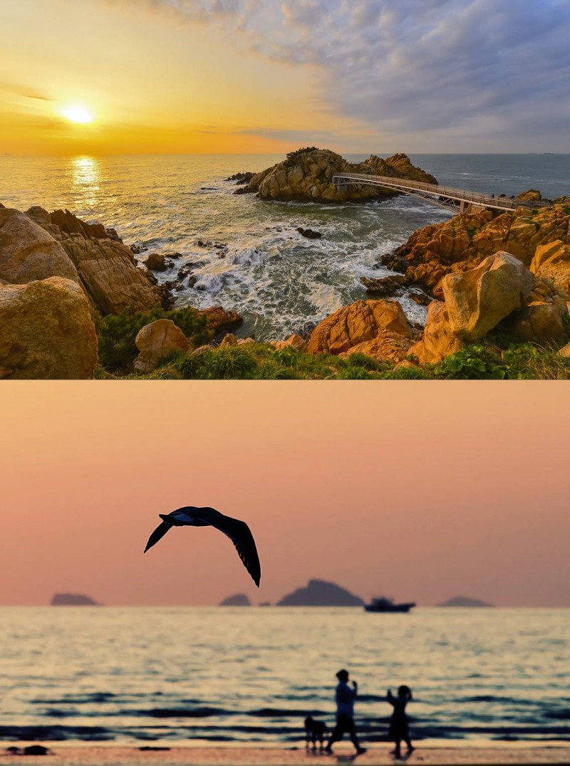 울산광역시 반려동물친화관광지 대왕암공원(위)과 태안군 반려동물친화관광지 꽃지해수욕장. /사진제공=한국관광공사