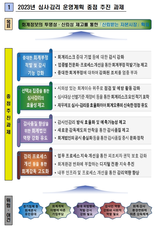 2023년 심사/감리 운영계획 및 중점 과제 / 자료제공= 금융감독원(2023.04.09)