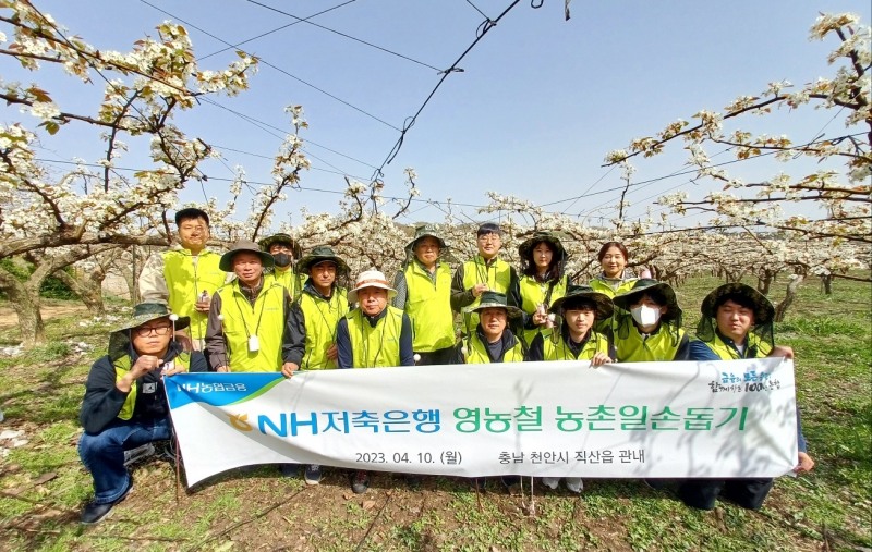 최광수 NH저축은행 대표(앞줄 가운데)가 지난 10일 임직원과 함께 농촌 일손돕기를 실시했다. /사진제공=농협금융지주