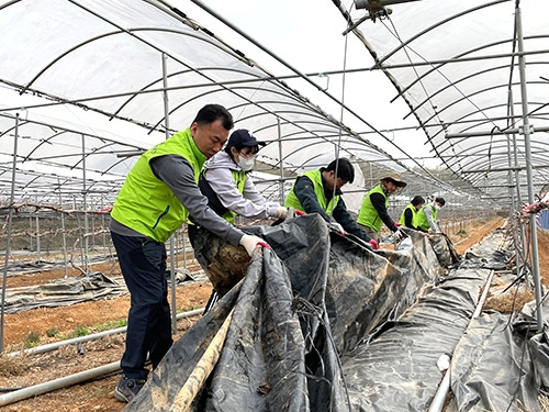 인천농협, ‘영농폐기물 집중수거 캠페인’ 전개