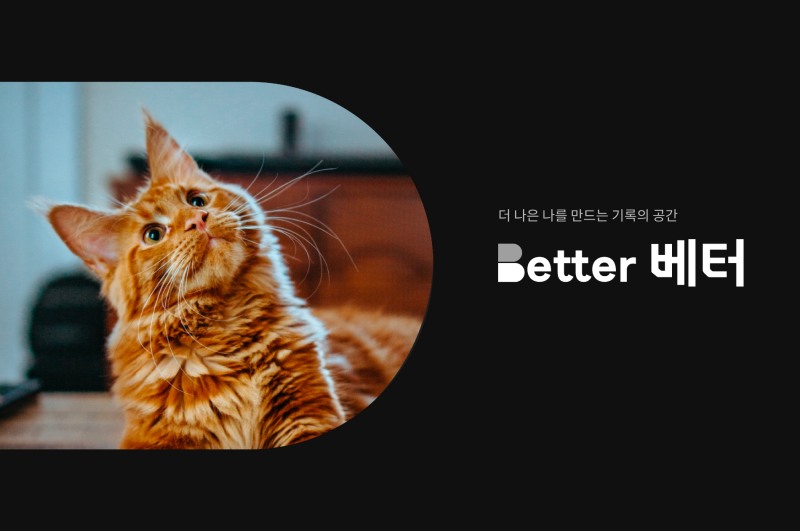 LG유플러스가 새로운 SNS '베터(Better)'를 선보였다 현재 앱스토어에선 베타테스트 버전만 다운로드 할 수 있다. 사진 제공=LG유플러스