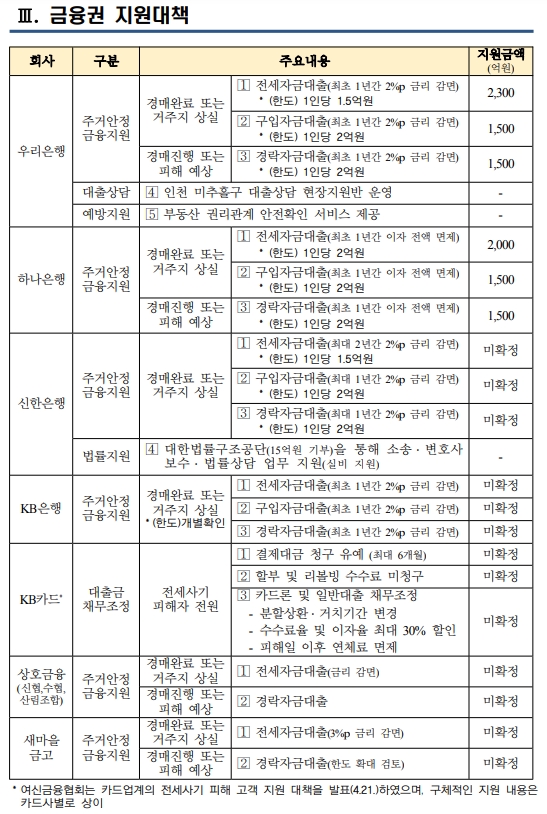금융권 전세사기 피해자 지원대책. /자료제공=금융감독원