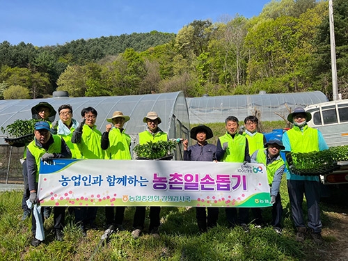 ▲ 강원검사국 직원은 28일 춘천시 북산면 부귀리 소재 농가에서 일손돕기를 실시했다.