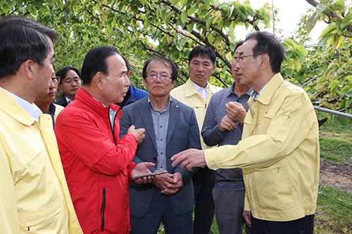 농협중앙회, 전북 장수·충북 보은 냉해 피해 현장점검