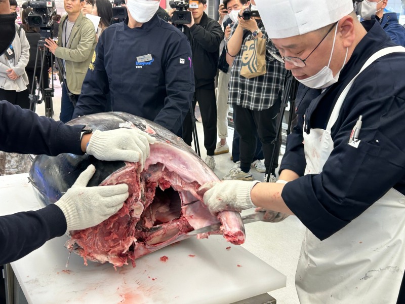 이마트 연수점에서 직접 참치 해체쇼를 선보이고 있다. /사진=박슬기 기자