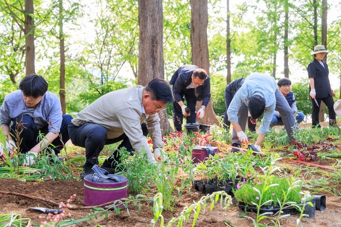 박강수 구청장(왼쪽 두 번째)이 5월3일 월드컵공원 메타세콰이어길에서 열린 난지 테마관광 숲길 초화류 심기 행사에 참석해 꽃무릇을 심는 모습./사진제공=마포구청