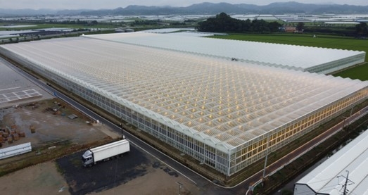 2023년 5월 4일 한국거래소(이사장 손병두)로부터 유망한 중소·벤처기업들의 자금조달을 목적으로 한 장외 주식거래 시장 ‘코스닥’(KOSDAQ) 상장 예비 심사를 승인받은 우듬지팜(대표 강성민) 스마트 팜(Smart farm·정보기술 기반 농장) 전경./사진제공=IR큐더스(대표 이종승)