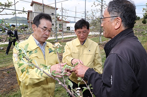 농협, 농가 냉해 피해 복구 지원에 전력