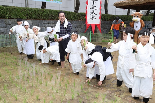 이성희 농협중앙회장, 어린이들과 전통 손모내기 재현