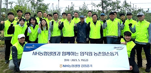NH농협생명 강원총국, 농촌일손돕기 실시