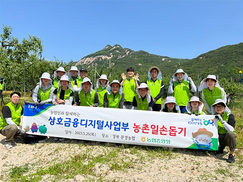 농협 상호금융디지털사업본부, 농촌 일손돕기 실시