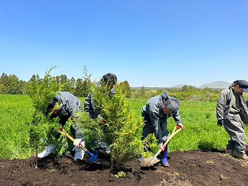 농협, 깨끗한 축산농장 방취림 조성사업 추진