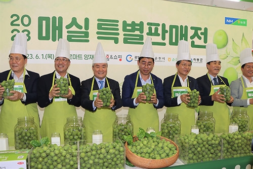 농협, 매실 소비촉진 위한 상생마케팅 할인행사