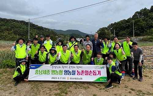 ▲ 충남세종농협이 양파 수확철을 맞아 서산시 팔봉면 양파농가 찾아 일손돕기에 나선 모습.