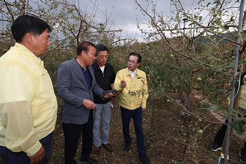 농협중앙회, 우박 피해 농가 복구 지원 전력