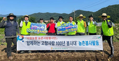 강원농협, 감자수확 농촌일손돕기 구슬땀 흘려