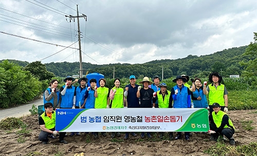 농협 축산경제, 감자 수확철 강원지역 농촌일손돕기 실시