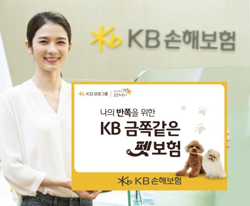 KB손해보험이 지난달 출시한 'KB 금쪽같은 펫보험'을 분석한 결과 어릴수록 가입 니즈가 높고 탄탄한 보장을 원했다고 밝혔다./사진제공=KB손해보험