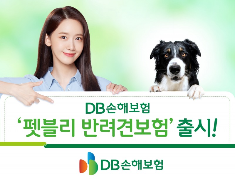 DB손해보험이 '펫블리 반려견보험'을 출시했다./사진제공=DB손해보험