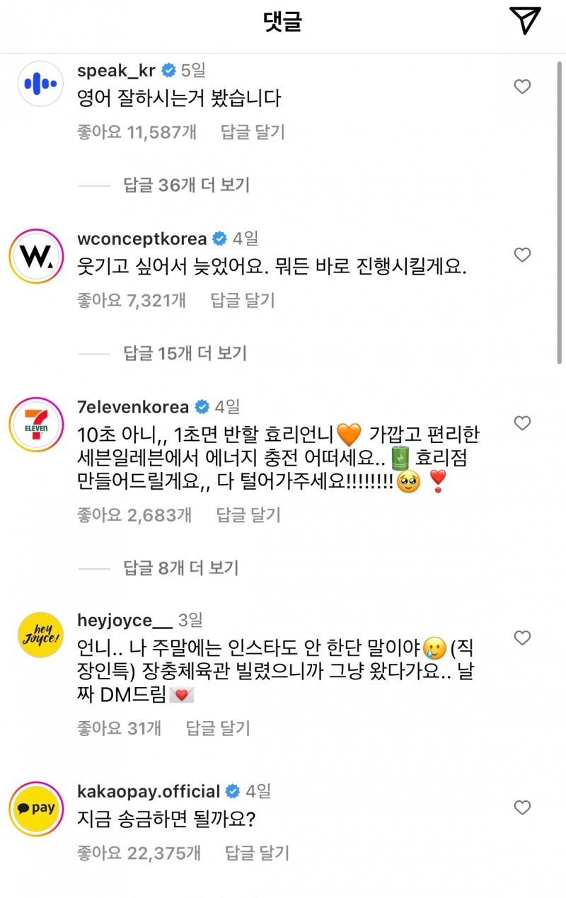 기업들이 이효리 SNS에 댓글을 남겼다. /사진=이효리 인스타그램