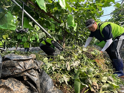 인천농협, 호우 피해농가 인력지원 나서