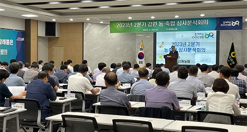 농협 강원본부, 농축협 심사분석회의 실시