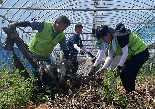 인천농협 나눔봉사단, 집중호우 피해복구 활동 전개