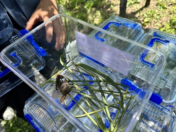 멸종위기 물장군 살리기 나선 LG에너지솔루션