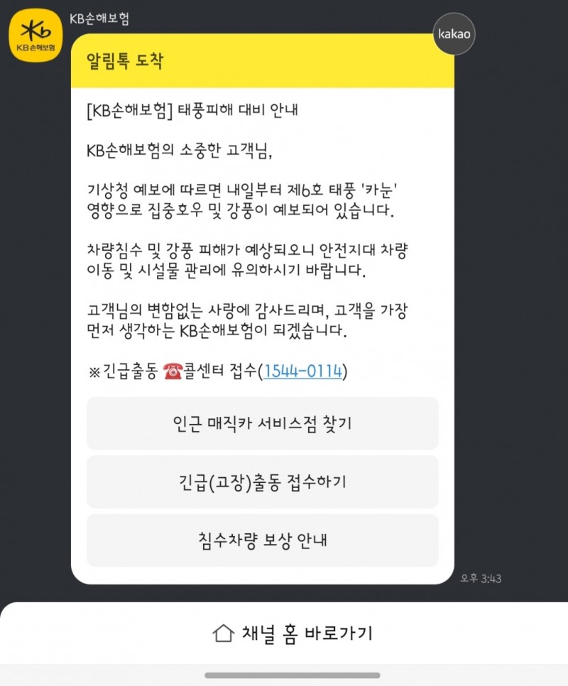 KB손해보험이 자동차보험고객에게 발송한 알림톡. 사진 제공=KB손해보험