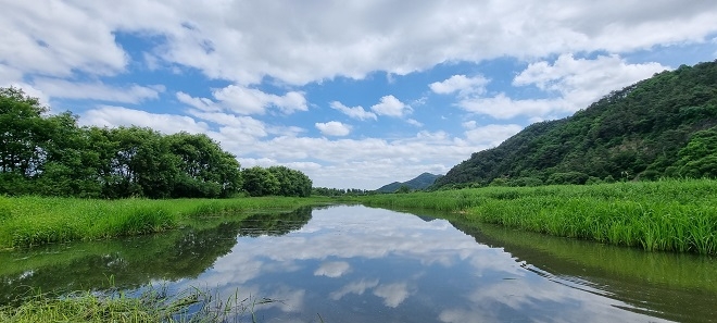 충북 진천군 미르숲에 위치한 미호강 일대. 사진제공=현대모비스.