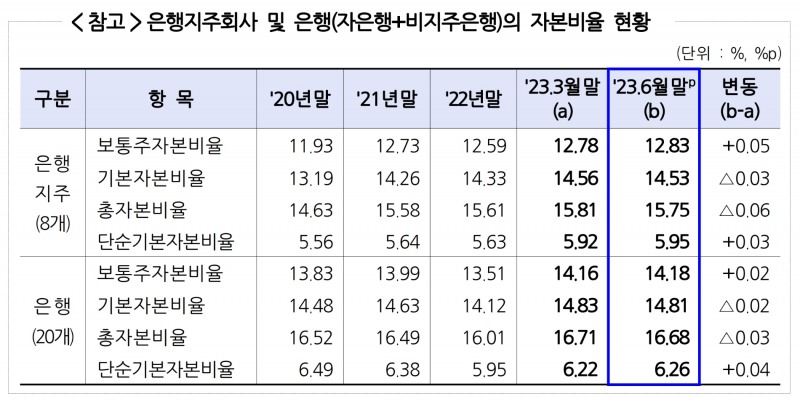 은행지주 및 은행의 자본비율 현황. /자료제공=금융감독원