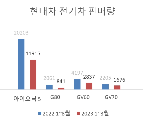 현대차, 아이오닉6 가격 동결...전기차 반등 '고심'