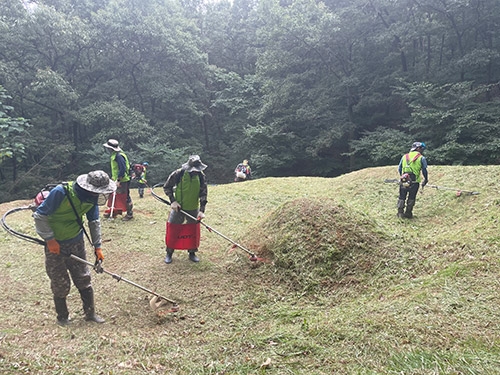 농협, 추석 대비 벌초대행 서비스 실시