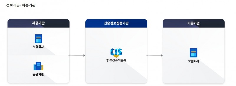보험신용정보통합조회시스템(ICIS) 서비스 현황. 사진=한국신용정보원 홈페이지 갈무리