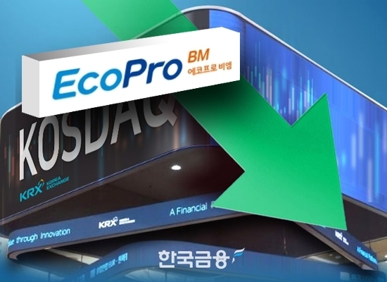 올해 국내 증시를 주도하던 이차전지 종목의 주가가 연일 내리막을 걷고 있는 가운데, 12일 국내 최초로 상장된 이차전지 인버스(역방향) 상장지수펀드(ETF)는 이틀 연속 강세를 보였다. /그래픽 = 한국금융신문