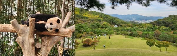 사진은 지난 6일 찾은 경기도 용인 에버랜드 '비타민캠프' 활동 모습. /사진=손원태기자