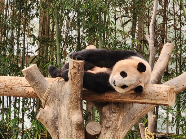 사진은 지난 6일 찾은 경기도 용인 에버랜드 '비타민캠프' 활동 모습. /사진=손원태기자