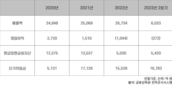자료 출처=금융감독원 전자공시시스템