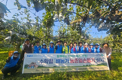 농협 인천옹진군지부·인천여협, 배수확 일손돕기 펼쳐