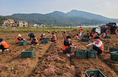 농협, '국민과 함께하는 농촌봉사활동' 실시