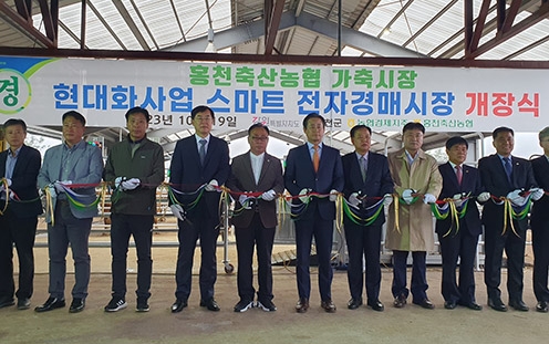농협 축산경제, 강원도 홍천 스마트 가축시장 정식 개장