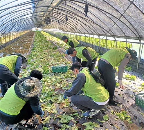농협경제지주, 영농철 농촌일손돕기 실시