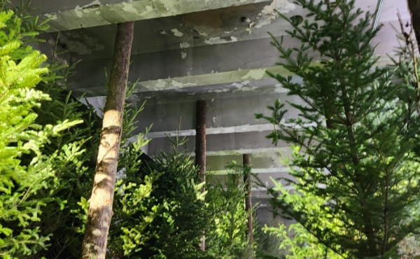 코오롱스포츠가 브랜드 창립 50주년을 맞아 서울 용산구 '레이어20'에서 ‘EVERGREEN ENERGY: 우리의 소나무 너머, 새로운 세상으로’ 기념 전시를 열었다. /사진=손원태기자