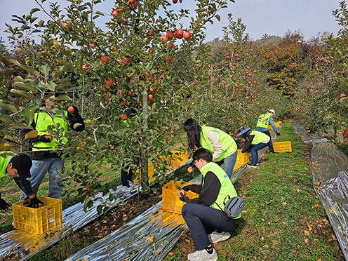 농협중앙회 농업농촌지원본부, 수확기 일손돕기 구슬땀