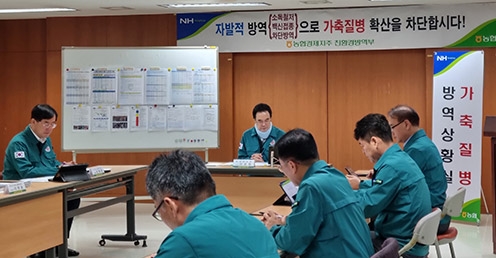 농협, 럼피스킨(LSD) 재해자금 500억원 긴급 지원