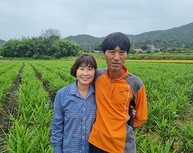 ▲ 당진시 정순농장 조재길·박정순 부부