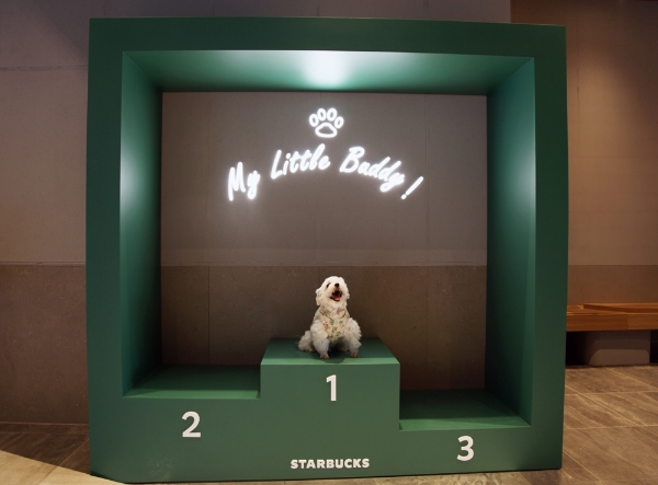 스타벅스 코리아(대표 손정현)가 국내 유일의 스타벅스 펫 프렌들리 매장인 ‘더북한강R점’을 21일 리뉴얼한다. /사진=스타벅스 코리아