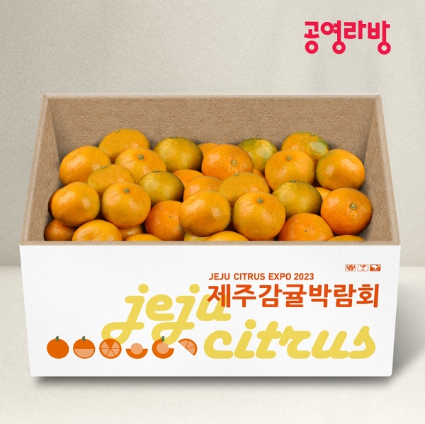 공영홈쇼핑(대표 조성호)의 모바일 라이브 커머스 ‘공영라방’이 제주경제통상진흥원과 손잡고 ‘제주감귤’ 판로 지원에 나선다고 30일 밝혔다. /사진=공영홈쇼핑